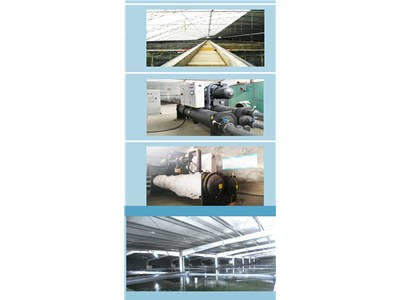 [案例展示]螺桿式熱泵機組海水養殖項目